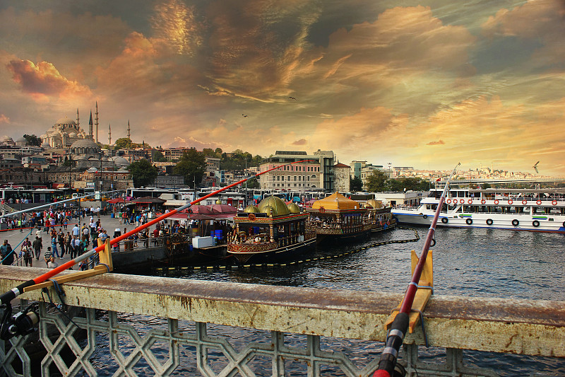 博斯普鲁斯海峡,渡轮,水,渡轮码头,水平画幅,7月15日烈士桥,海港,鸟类,古老的,户外