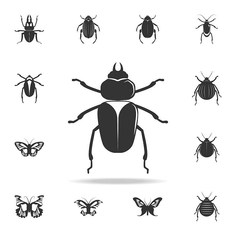 甲虫,昆虫,计算机图标,移动应用程序,数字1,蜘蛛网,华丽的,设计,布置,收集