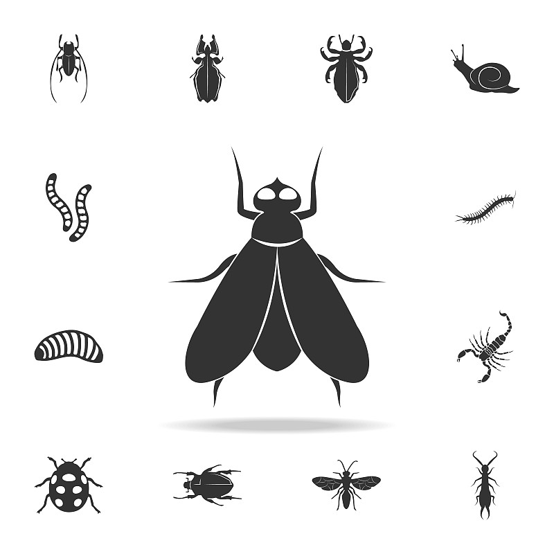 昆虫,计算机图标,组物体,图表设计师,华丽的,溢价,两翼昆虫,高雅,蜘蛛网,设计