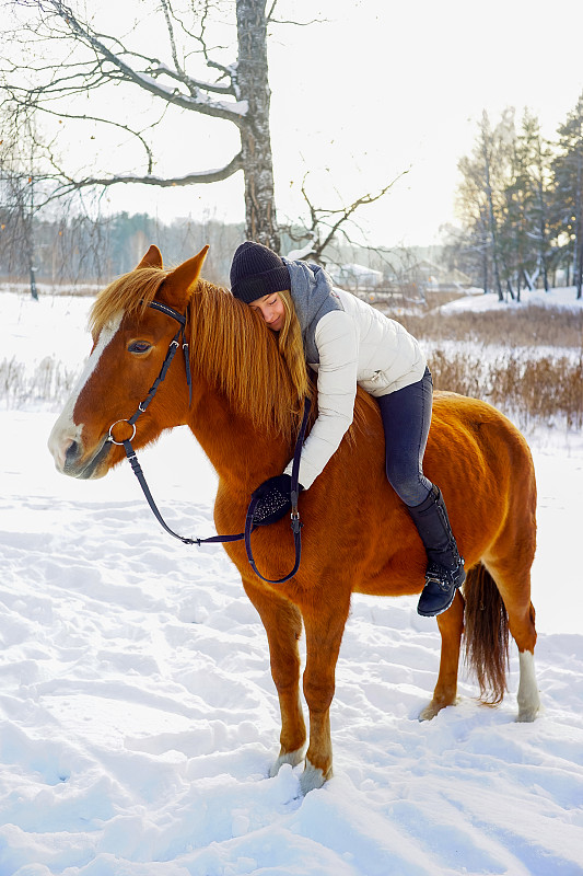 马,女孩,垂直画幅,褐色,母马,户外,仅成年人,俄罗斯,鞍,职业赛马骑师