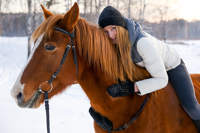 马,女孩,褐色,水平画幅,母马,户外,仅成年人,俄罗斯,鞍,职业赛马骑师