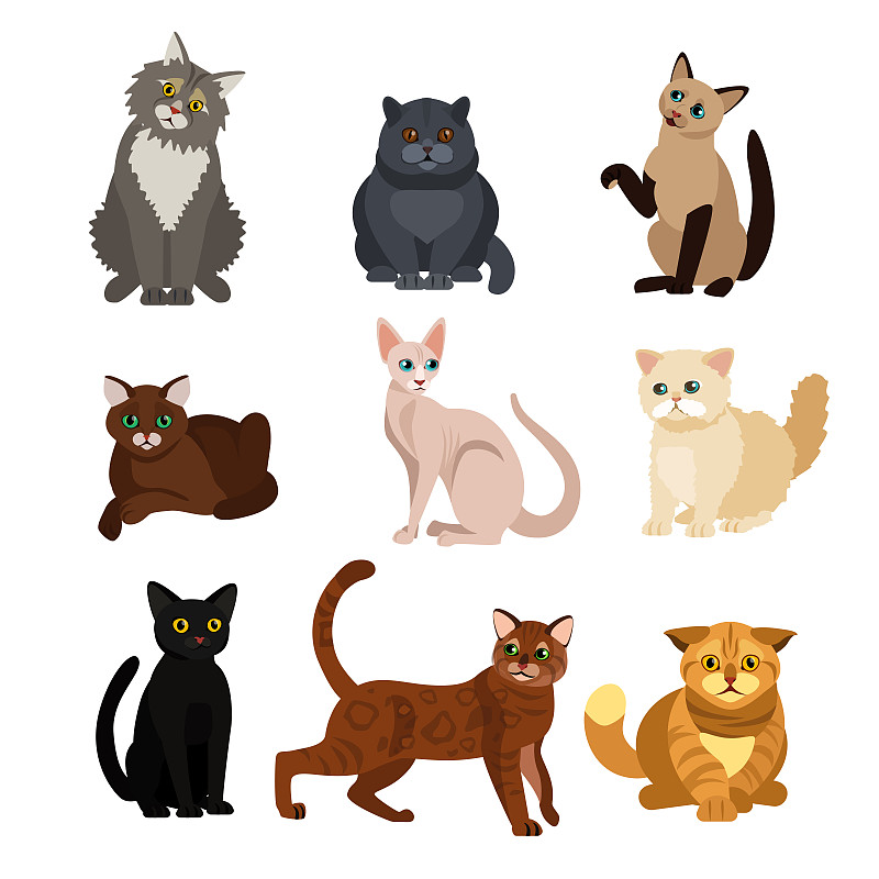 绘画插图,猫,矢量,可爱的,动物,小猫,宠物,扁平化设计,个性,设计