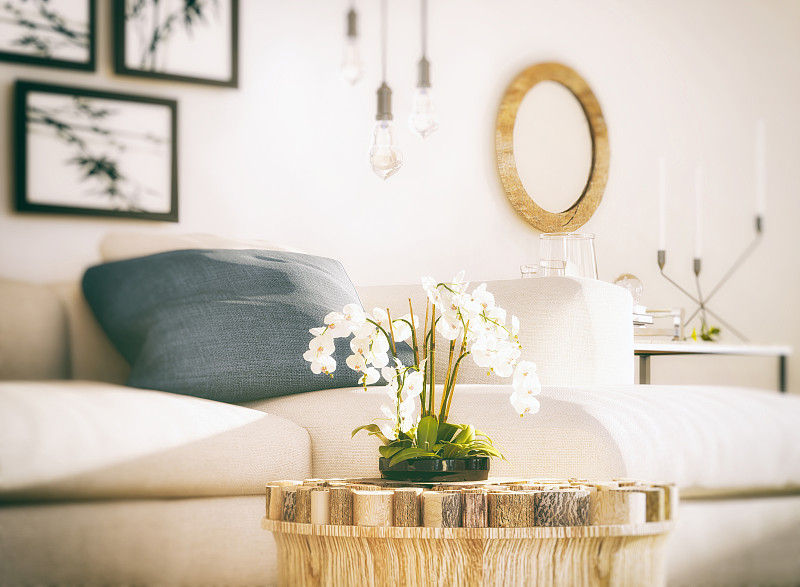 兰花,起居室,白色,选择对焦,座位,芳香的,水平画幅,无人,蝴蝶兰,家庭生活