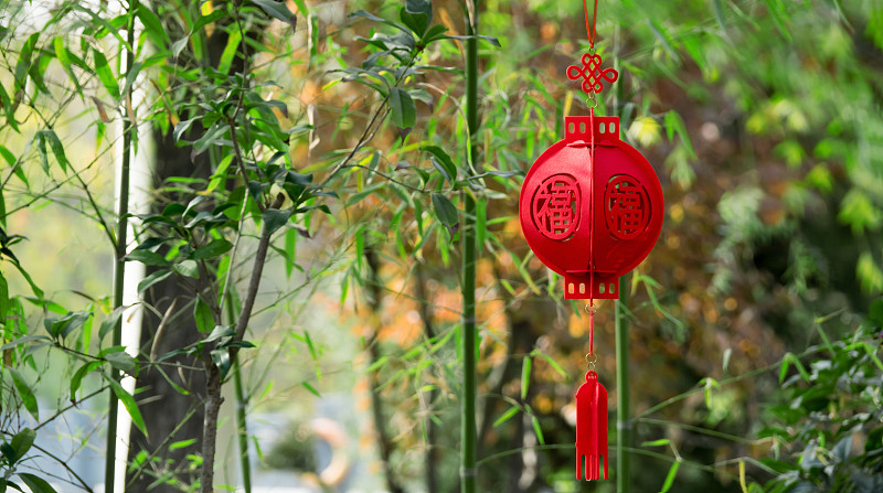 灯笼,红色,中国结,传统节日,传统,水平画幅,绿色,无人,春节,中国