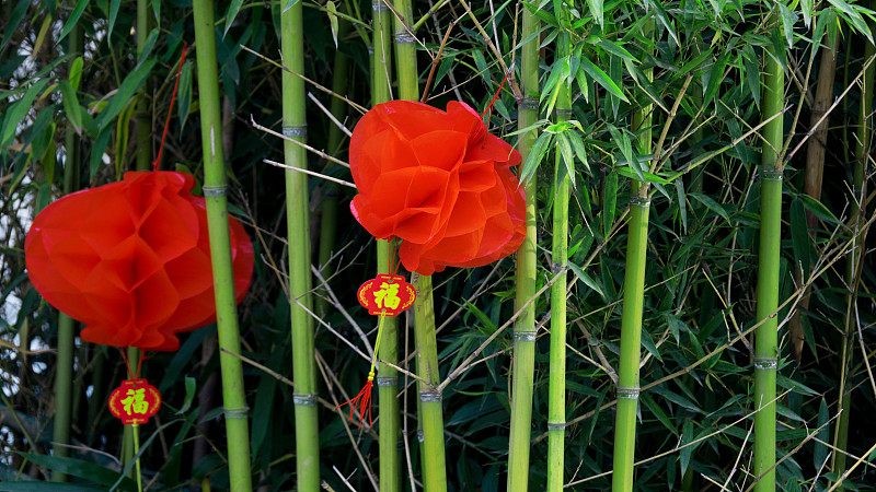 灯笼,红色,中国结,传统节日,传统,水平画幅,绿色,无人,春节,中国