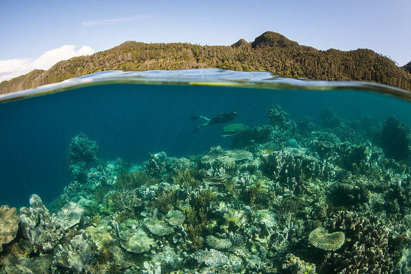 礁石,浮潜,邦主,自然美,水,美,度假胜地,水平画幅,水肺潜水,无人