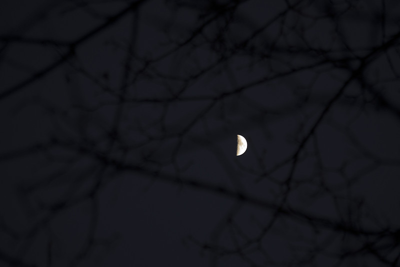 半月,自然,天空,水平画幅,夜晚,无人,月亮,空间和天文学,保加利亚,天文学