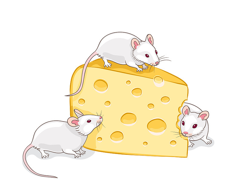 奶酪,鼠,三只动物,白色,切片食物,水平画幅,老鼠,绘画插图,彩色书,卡通
