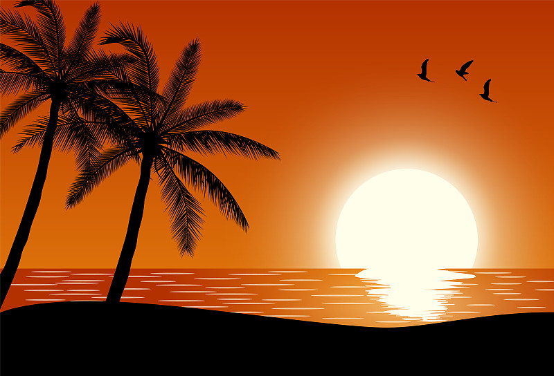 棕榈树,海滩,水,天空,留白,沙子,沙滩派对,夜晚,绘画插图,夏天