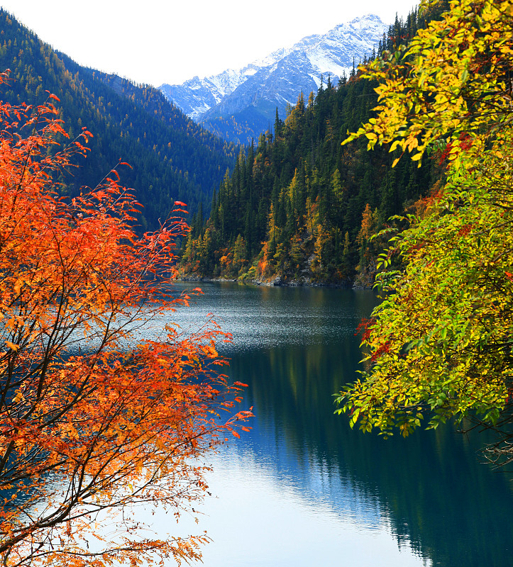 秋天,中国,多色的,九寨沟,,国内著名景点,山谷,宁静,高原,湖,自然美