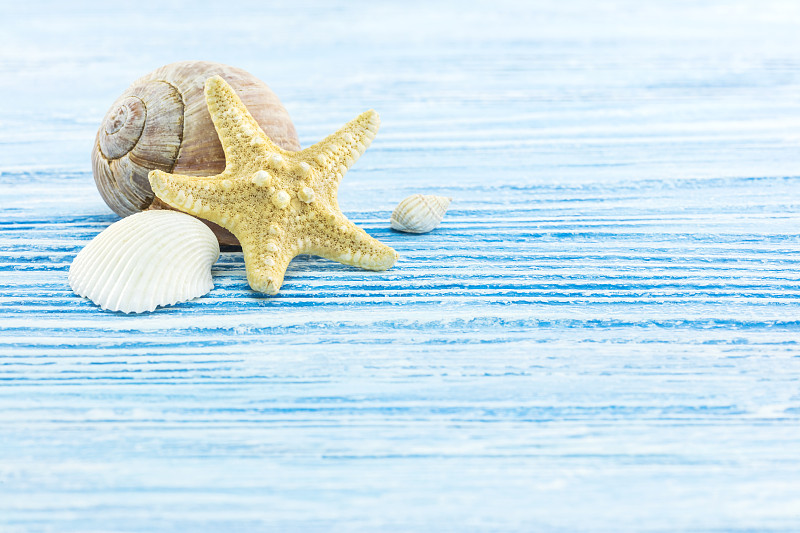 贝壳,海星,厚木板,蓝色,生锈的,背景,美,留白,休闲活动,水平画幅