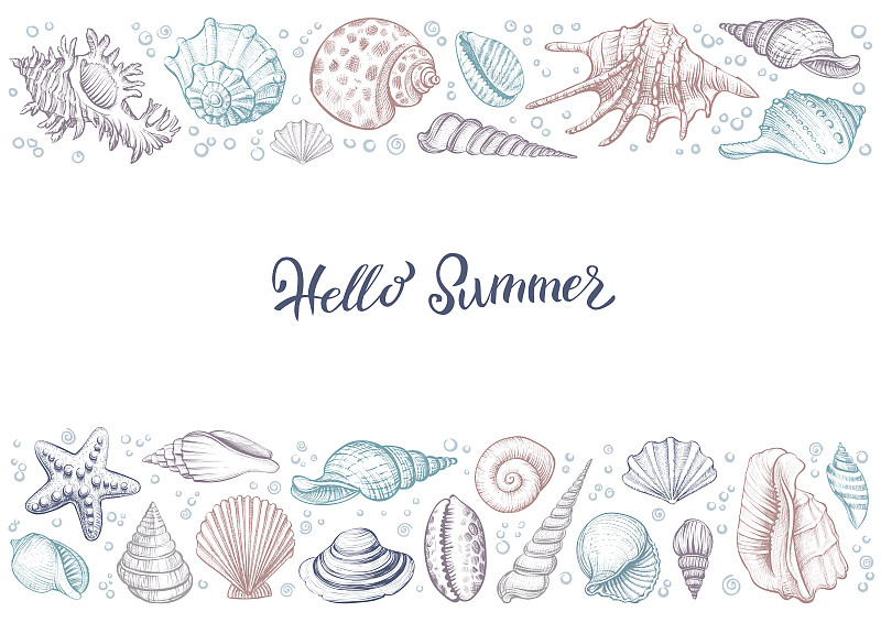 贝壳,夏天,水平画幅,多色的,绘画插图,水,贺卡,蛤,水下