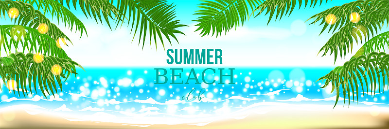 海滩,夏天,棕榈树,地形,椰子树,沙滩派对,热带气候,棍子,花纹,波浪