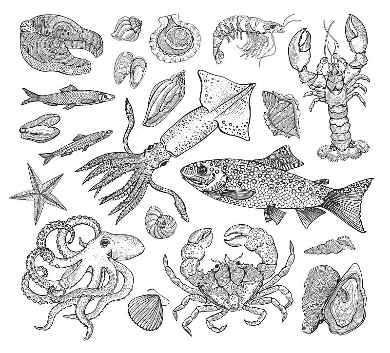 绘画插图,海产,商店,鱼类,矢量,式样,市场,餐馆,雕刻图像
