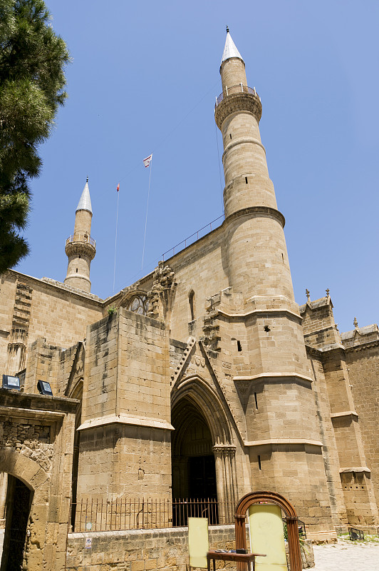塞利米耶清真寺,土耳其,塞浦路斯,尼可西亚,圣索菲娅,北,垂直画幅,建筑,无人