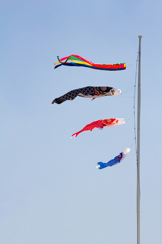 鲤鱼旗,横幅,鲤鱼,风向袋,传统庆典,杆,法定假日,垂直画幅,天空,留白