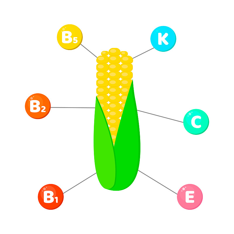 维生素,玉米,蔬菜,四元素,脉搏图,圆形,捕获的,自然,无人,绘画插图