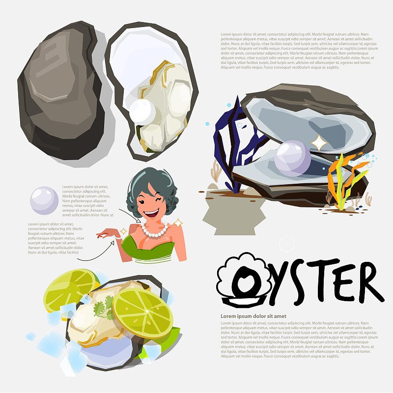 矢量,品牌名称,牡蛎,插画,珍珠牡蛎,头球,数据,式样,个人随身用品,水